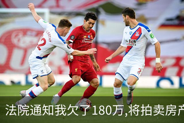 法院通知我欠了180万,将拍卖房产,可我从没借过钱,查征信后我怒了